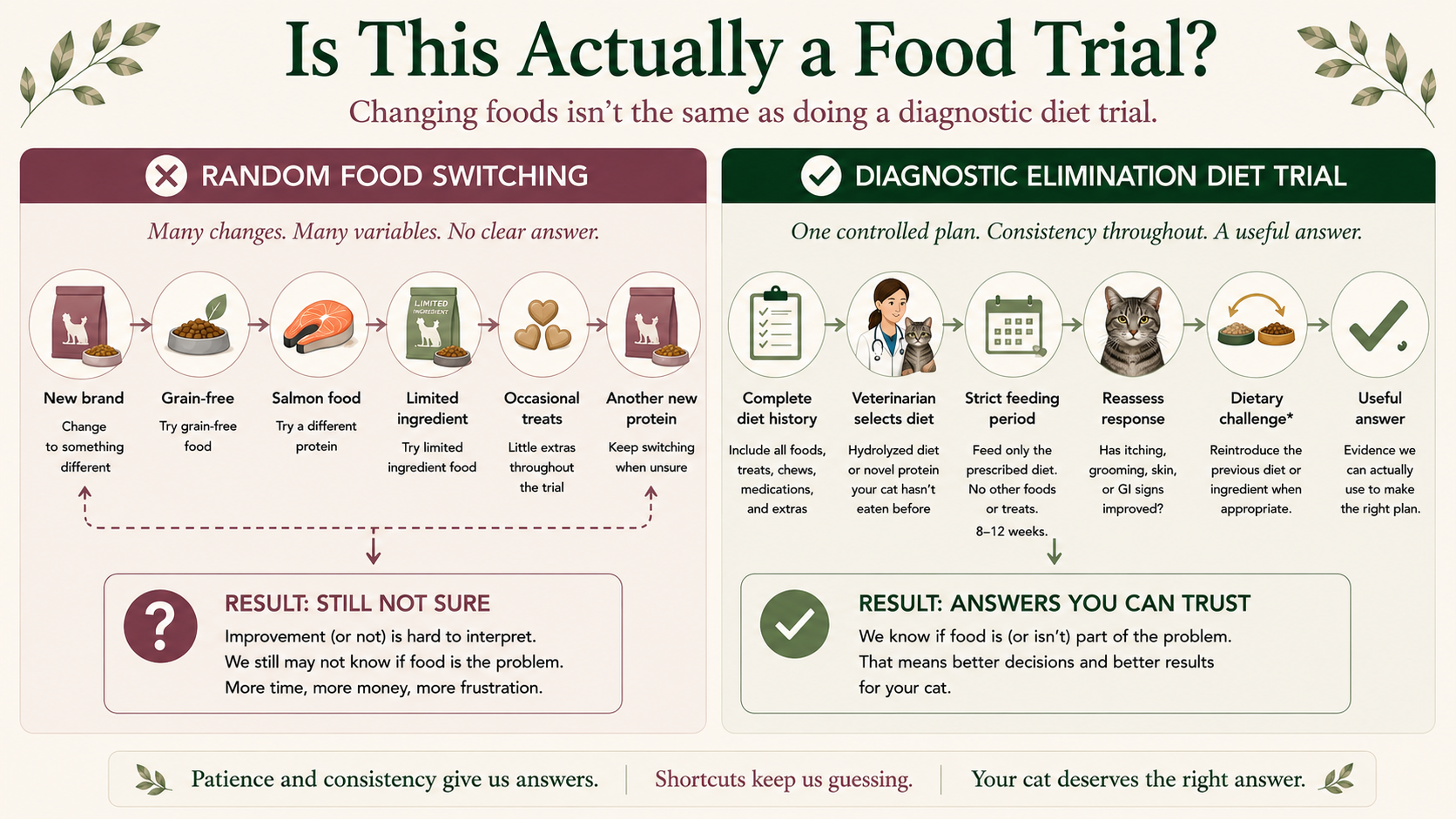 Comparison of random food switching with a structured diagnostic elimination diet trial for cats.