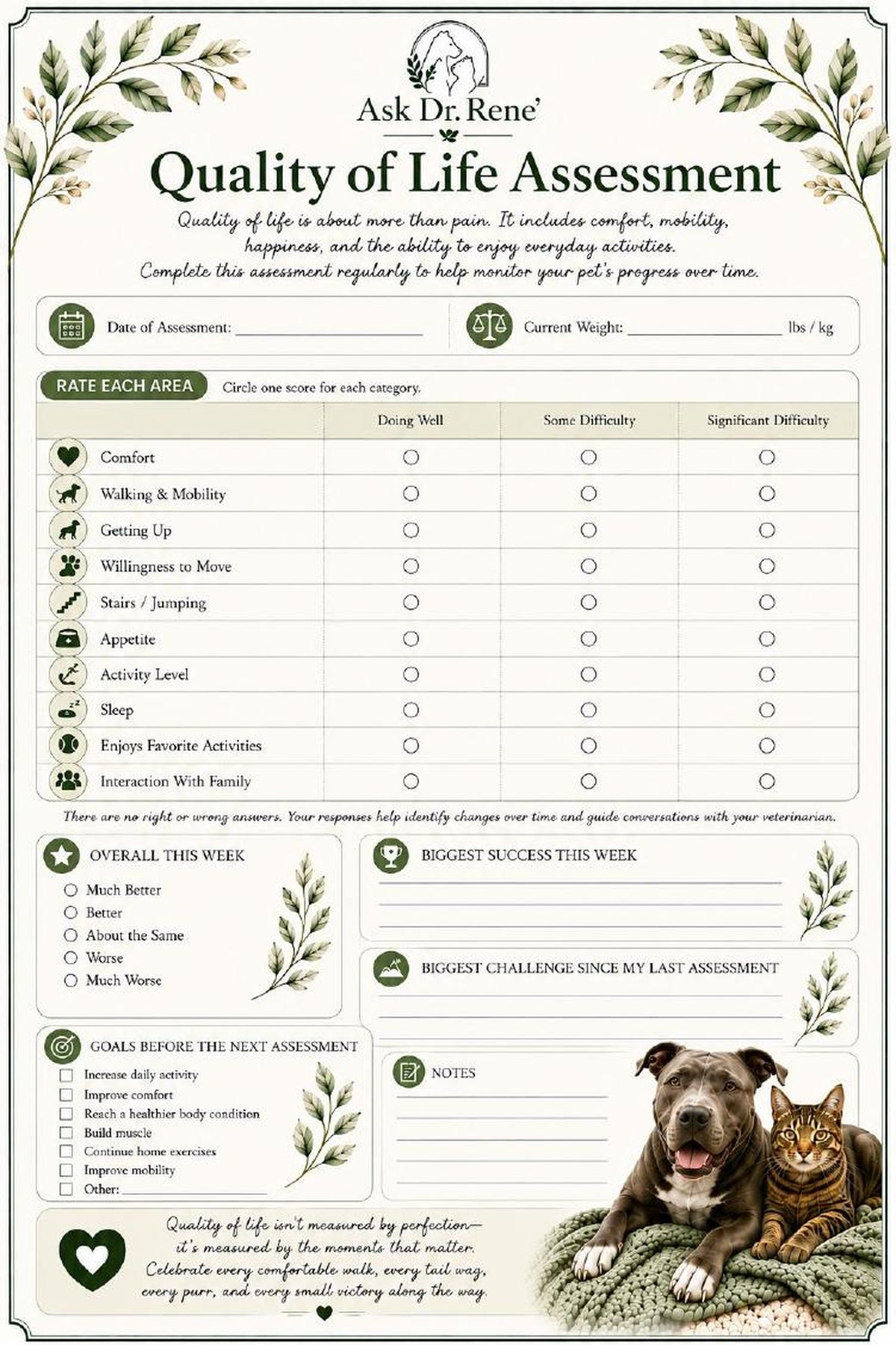 Quality of life assessment — preview