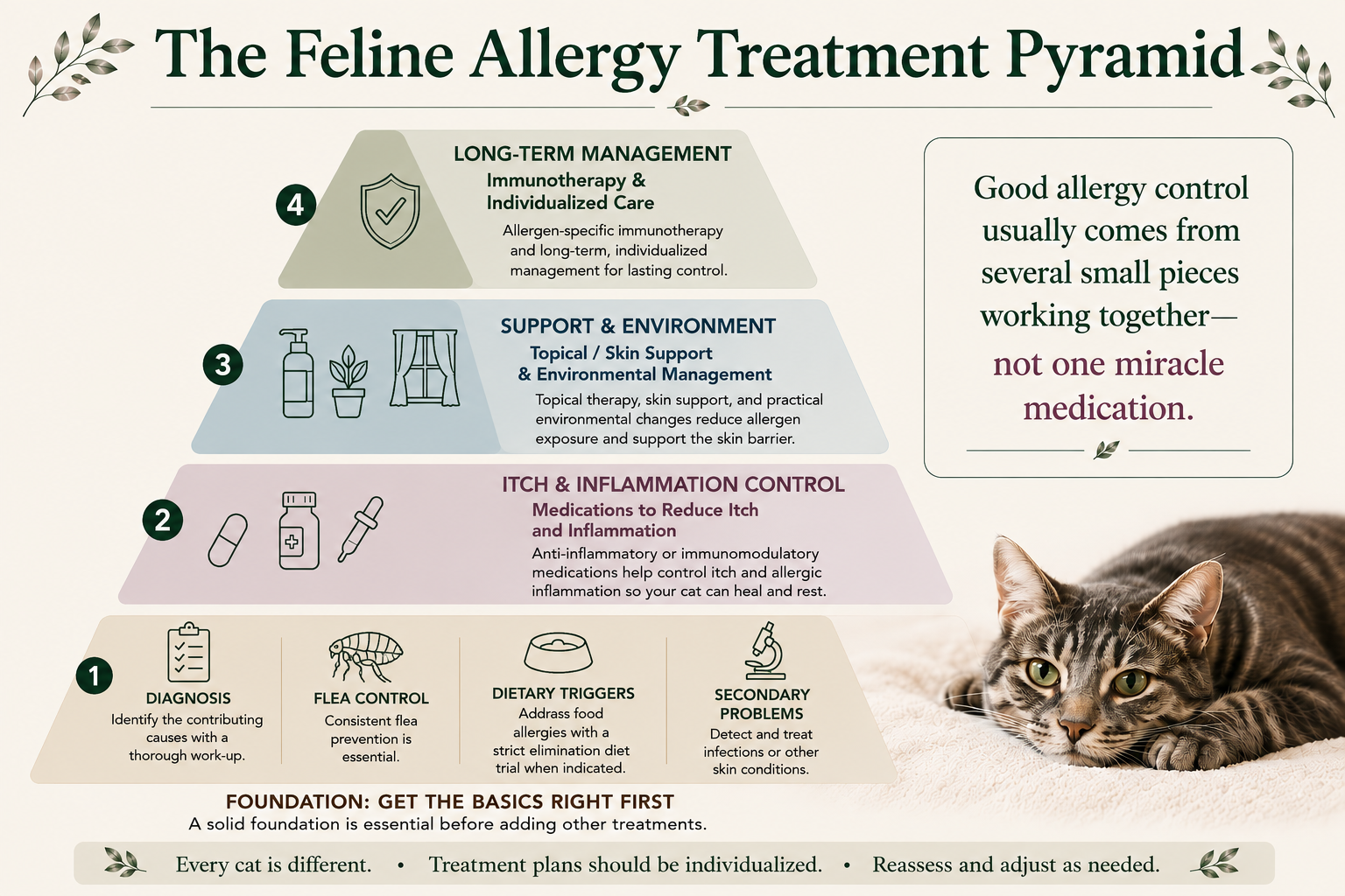 Feline allergy treatment pyramid showing diagnosis, flea control, dietary triggers and secondary problems as the foundation, followed by itch and inflammation control, skin and environmental support, and individualized long-term management including immunotherapy.