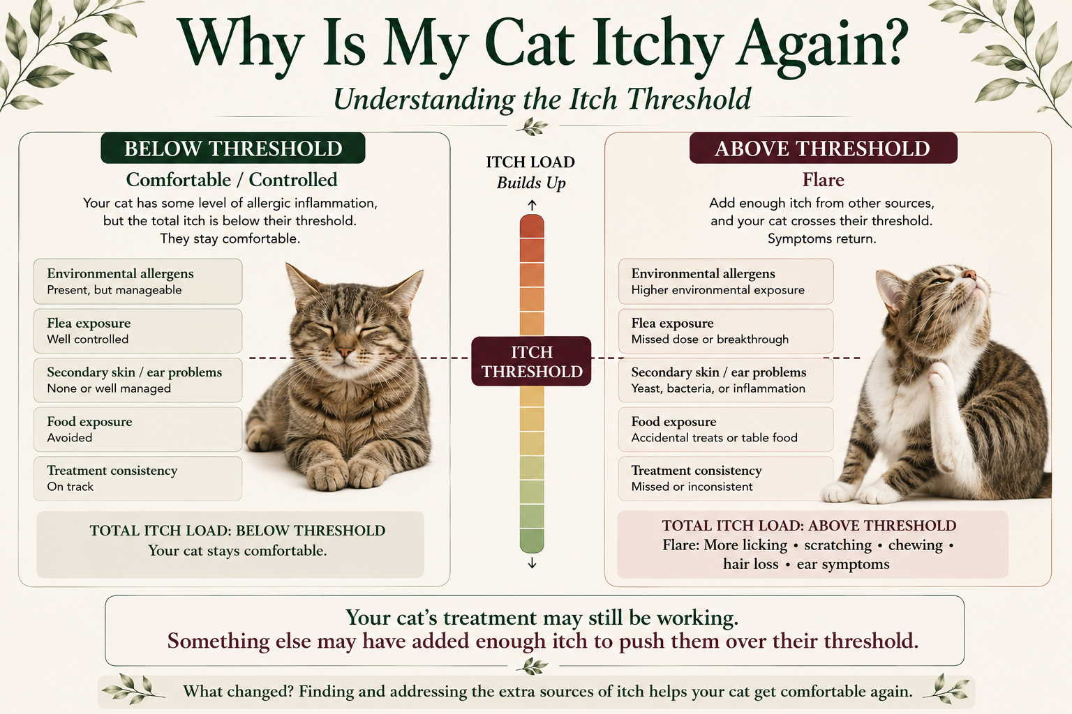 Infographic comparing a cat below their itch threshold with a cat above it, showing how environmental allergens, fleas, secondary skin problems, food exposure, and treatment consistency add up into a flare.