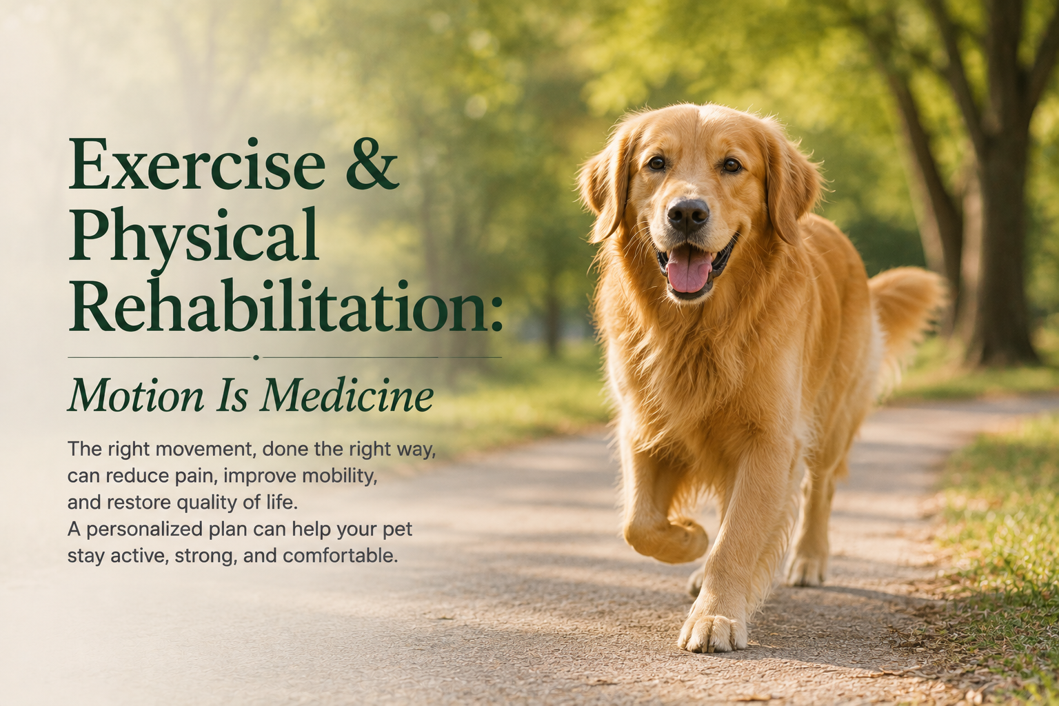 Golden retriever running on a path beside the title Exercise & Physical Rehabilitation: Motion Is Medicine.