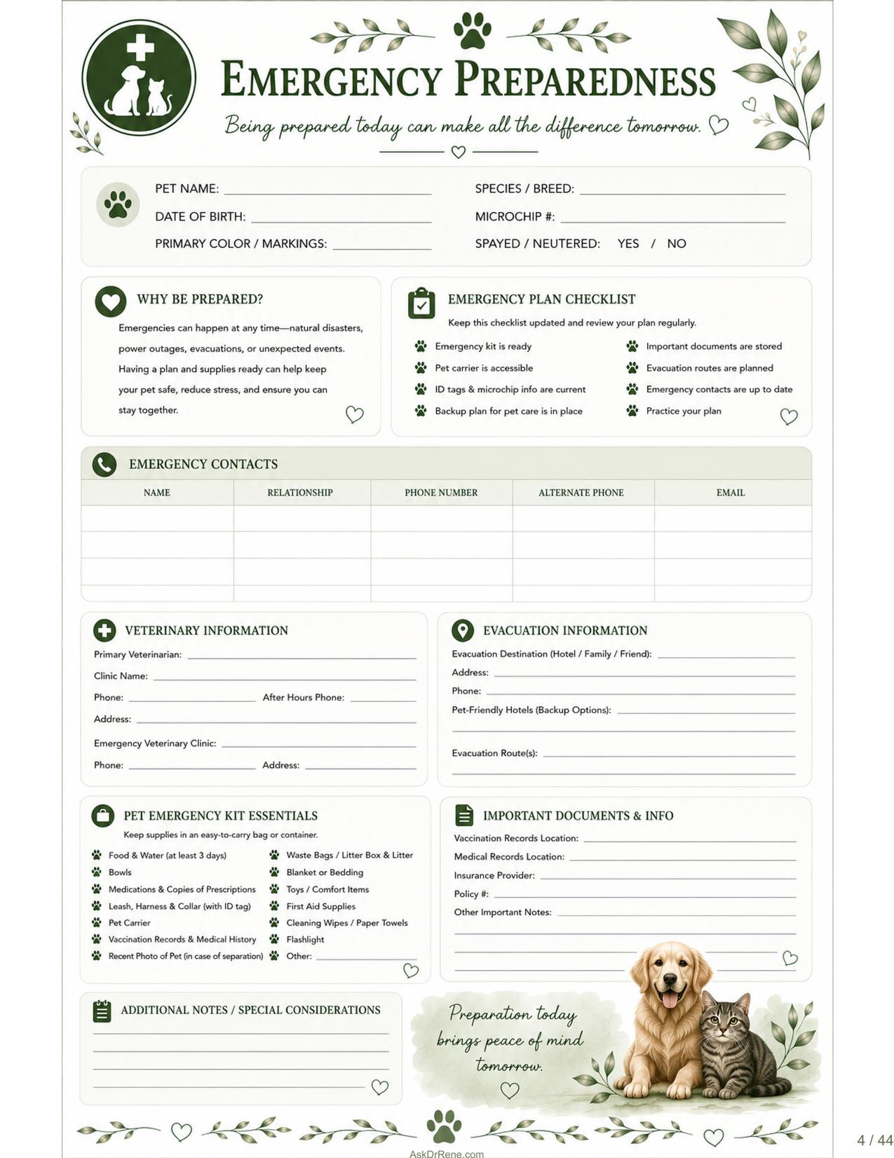 Emergency Information journal page preview