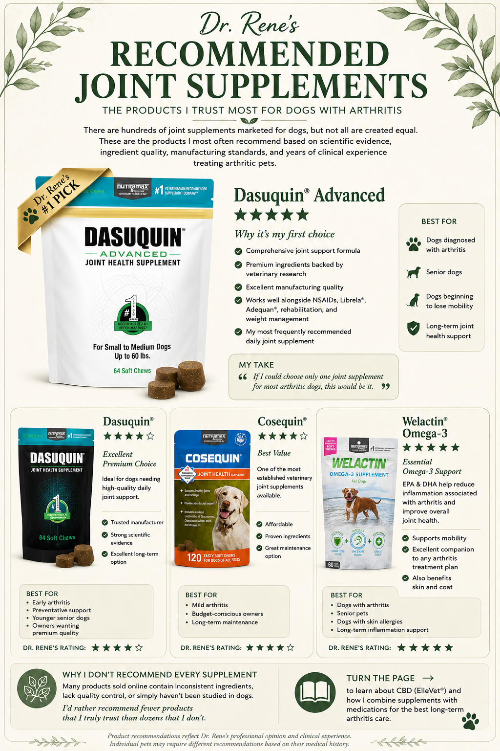 Infographic showing Dr. Rene's recommended joint supplements for dogs with arthritis, comparing Dasuquin Advanced, Dasuquin, Cosequin, and Welactin Omega-3 with clinical recommendations.
