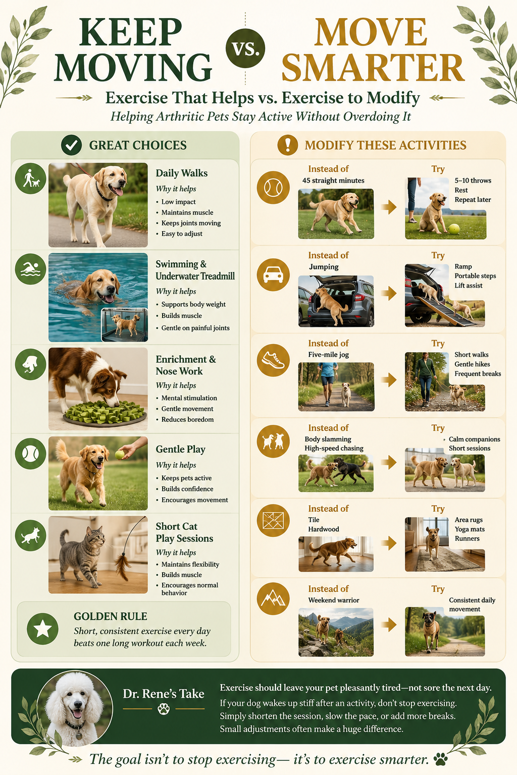 Infographic comparing exercises that help arthritic pets with activities that should be modified to reduce joint stress.