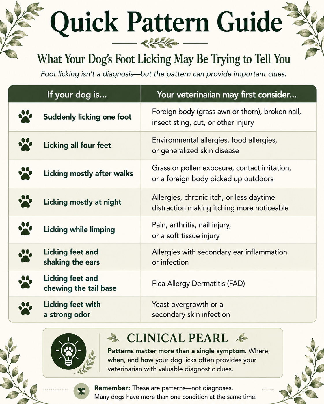 Quick reference chart showing common foot-licking patterns in dogs and the most likely conditions veterinarians consider during diagnosis.