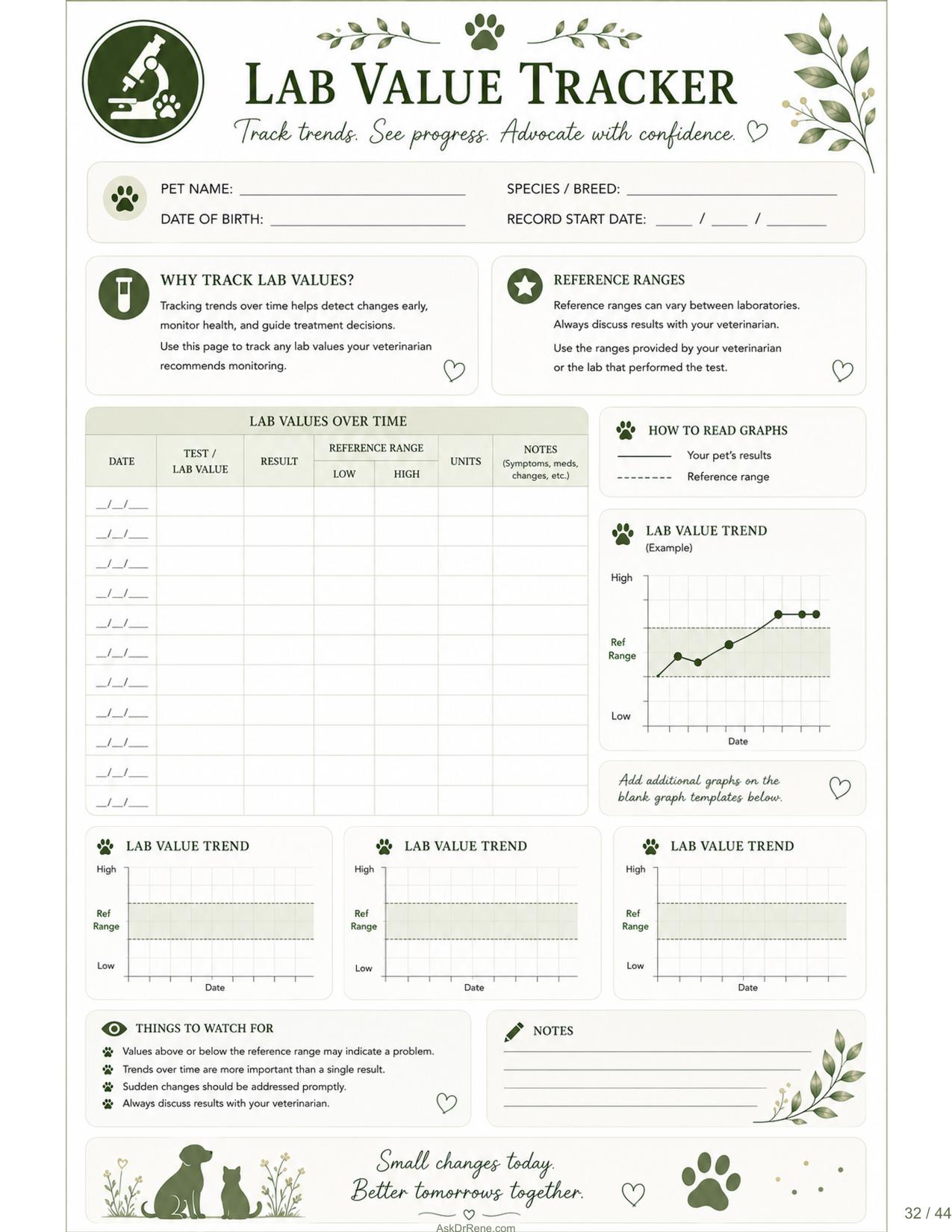 Diagnostics journal page preview