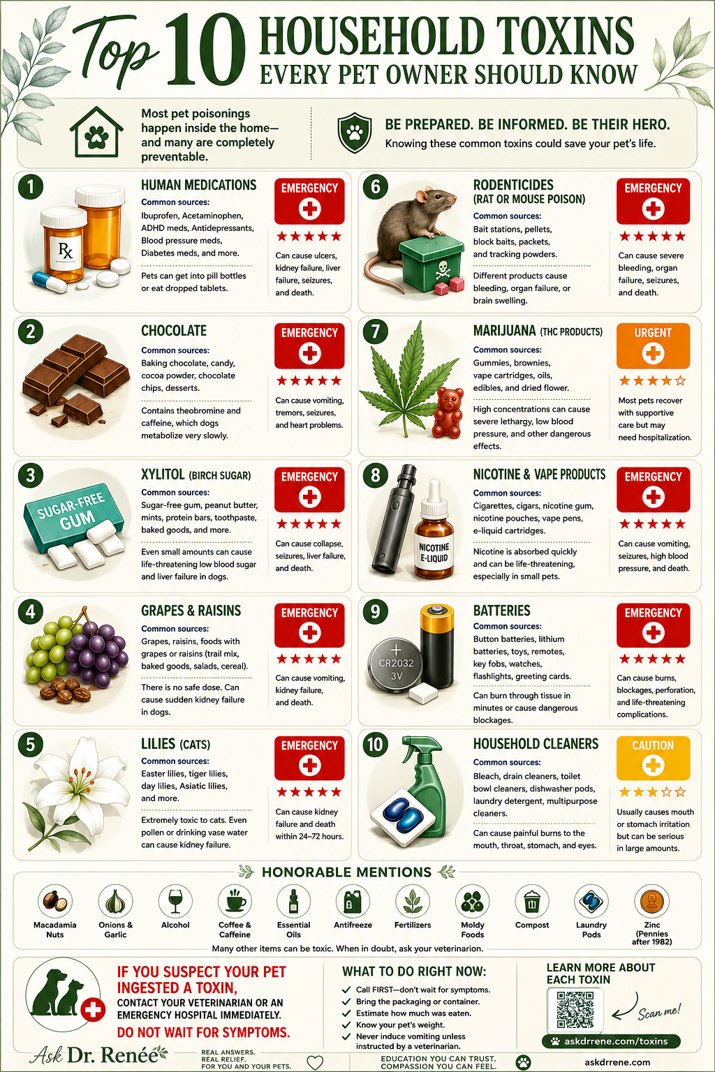 Infographic showing ten common household toxins that can cause emergencies in dogs and cats.