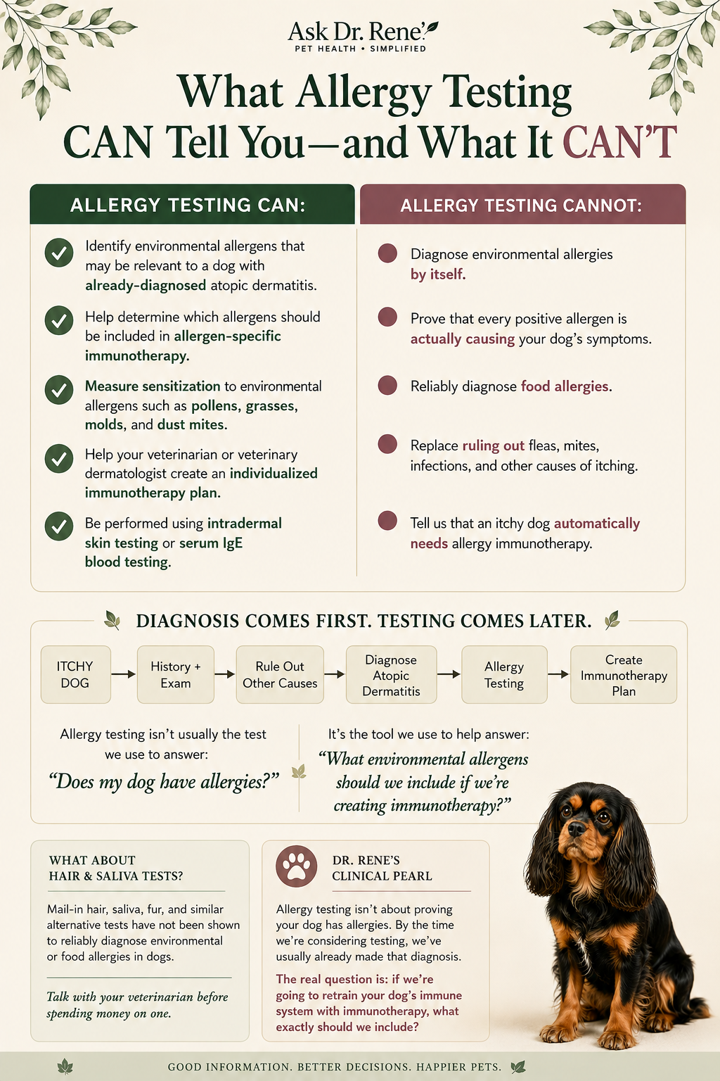 Infographic explaining what allergy testing can and cannot tell dog owners and how environmental allergy testing is used to help create allergen-specific immunotherapy