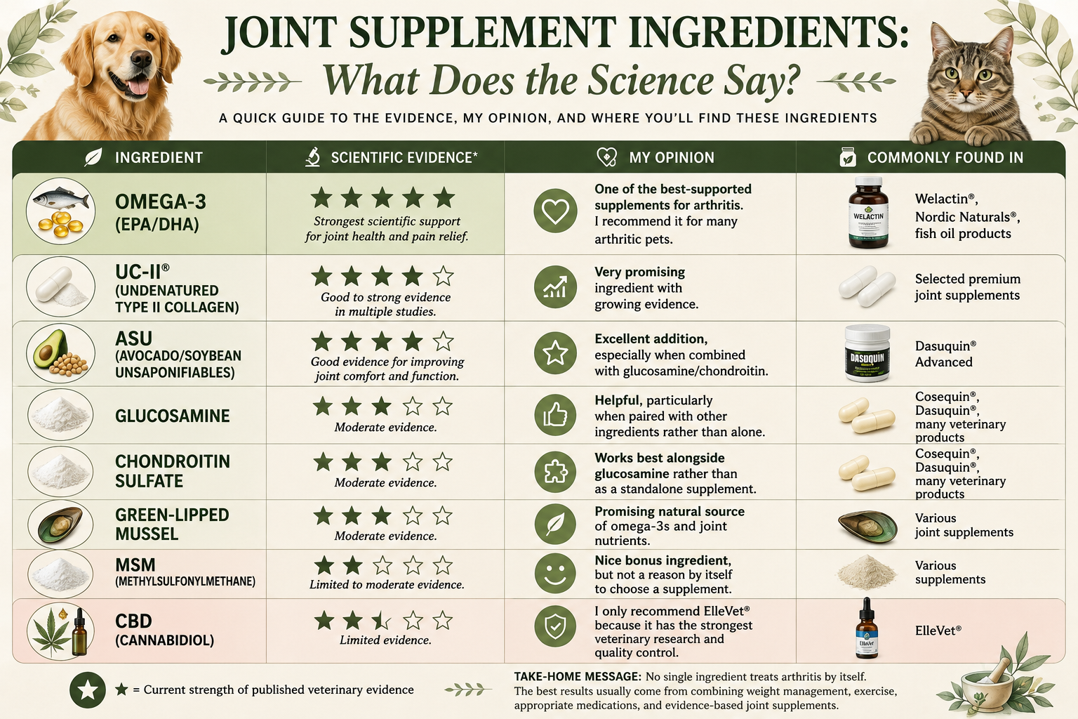Infographic titled Joint Supplement Ingredients: What Does the Science Say? A quick guide comparing ingredients, the strength of published veterinary evidence shown as stars, Dr. Rene's opinion, and products the ingredient is commonly found in. Omega-3 (EPA/DHA) has five stars and the strongest scientific support, found in Welactin, Nordic Naturals, and fish oil products. UC-II undenatured type II collagen has four stars and good to strong evidence, found in selected premium joint supplements. ASU avocado/soybean unsaponifiables has four stars and good evidence for improving joint comfort and function, found in Dasuquin Advanced. Glucosamine has three stars and moderate evidence, helpful particularly when paired with other ingredients, found in Cosequin, Dasuquin, and many veterinary products. Chondroitin sulfate has three stars and moderate evidence, works best alongside glucosamine, found in Cosequin, Dasuquin, and many veterinary products. Green-lipped mussel has three stars and moderate evidence, a promising natural source of omega-3s and joint nutrients, found in various joint supplements. MSM has two stars and limited to moderate evidence, a nice bonus ingredient. CBD has two and a half stars and limited evidence, with ElleVet recommended for its veterinary research and quality control. Take-home message: no single ingredient treats arthritis by itself, and the best results usually come from combining weight management, exercise, appropriate medications, and evidence-based joint supplements.