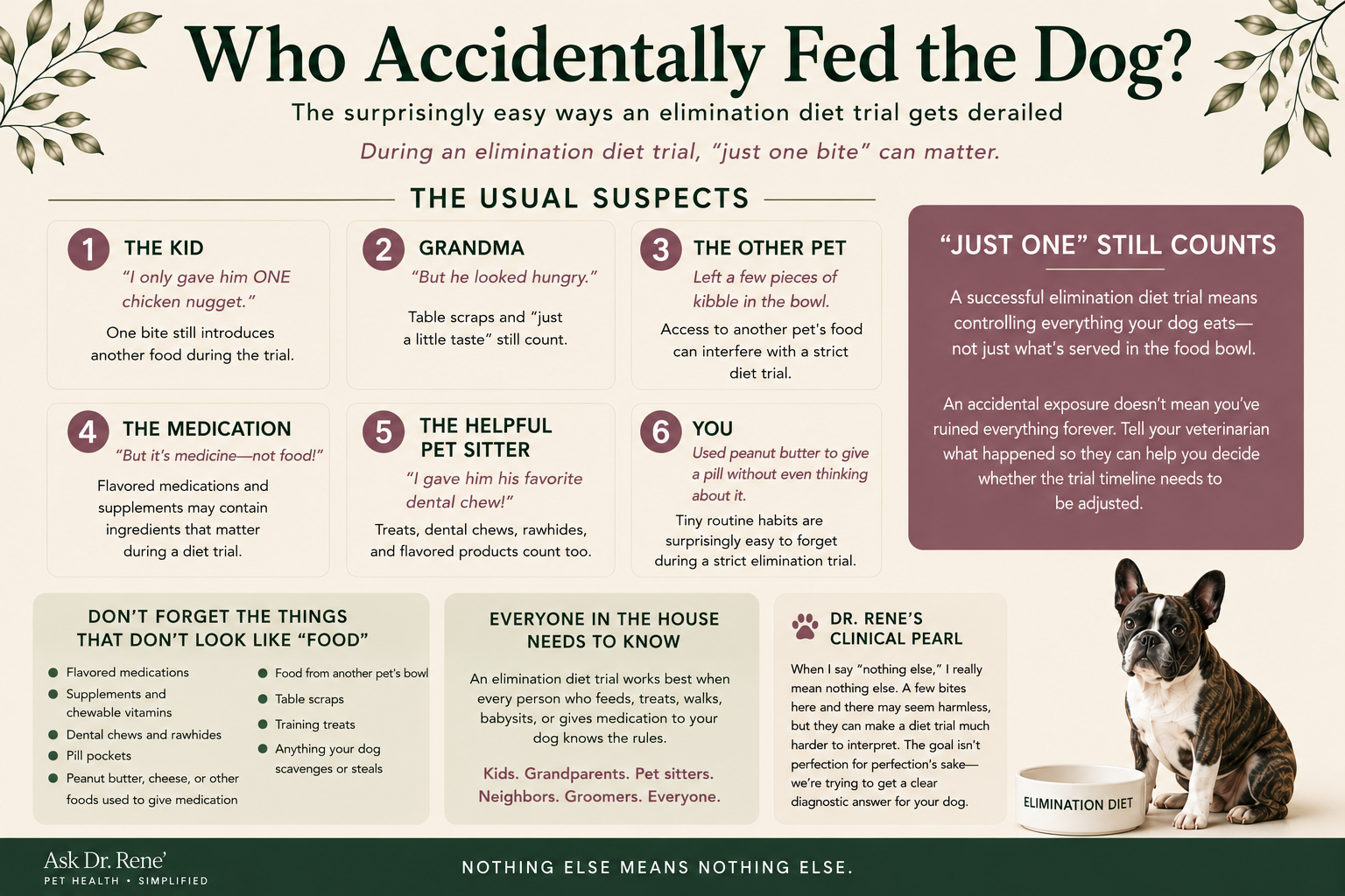 Ask Dr. Rene' infographic showing common accidental exposures that can interfere with a dog's elimination diet trial, including table scraps, treats, other pets' food, flavored medications, dental chews, and food used to give pills.