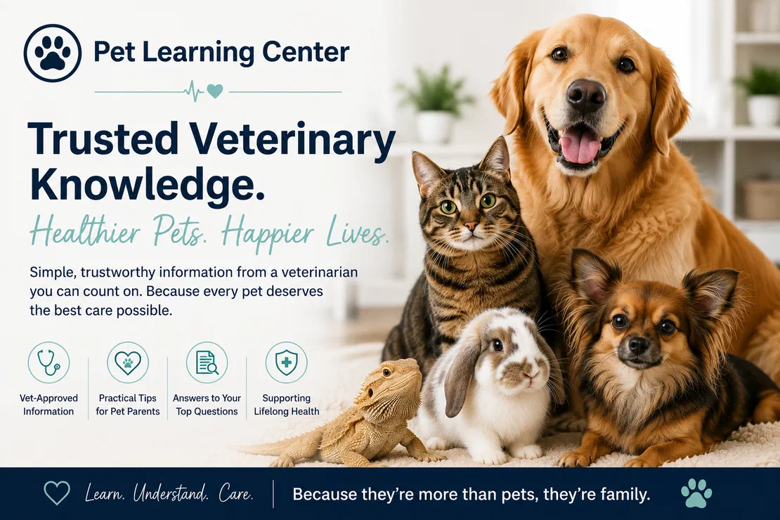 Dr. Rene' smiling at sunset — trusted veterinary knowledge for healthier pets and happier lives.